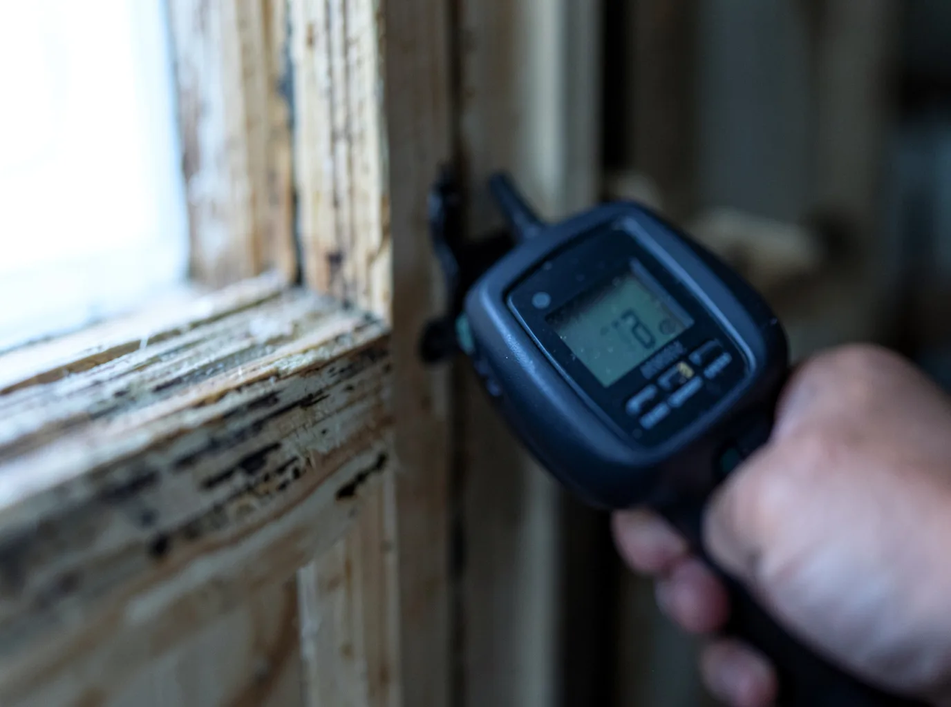 Moisture Inspection And Documentation in Morristown, TN